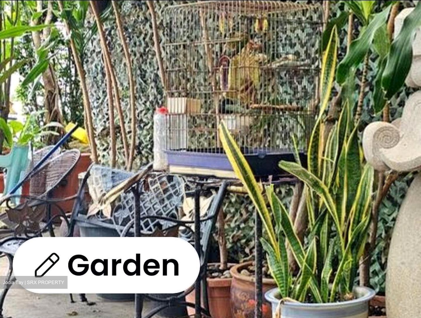 Toh Estate (D17), Terrace #497975581